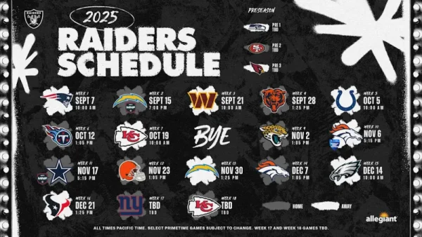 PRO STANDARD Las Vegas Raiders AFC WEST ラスベガス